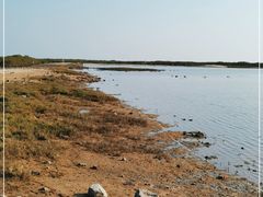 -北海金海湾红树林生态旅游区