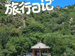 -大岭沟猕猴桃谷风景区