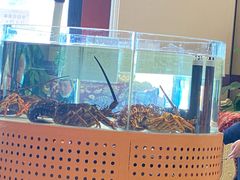 -万龙洲海鲜(大兴绿地缤纷城店)