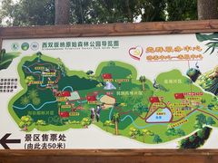 -西双版纳原始森林公园