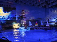 -海合安武汉极地海洋公园