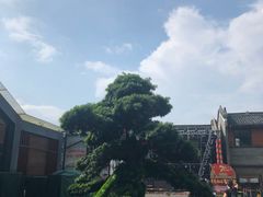 -东西巷