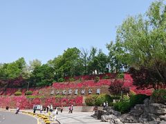 -西安曲江寒窑遗址公园