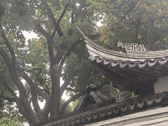 -豫园湖心亭茶楼