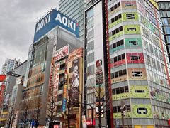 -秋叶原电器街