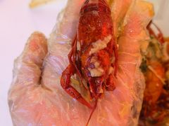 -三子烤羊腿·海鲜(弘阳店)