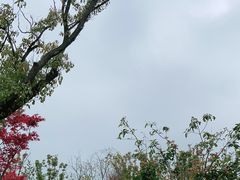 -苏州上方山国家森林公园