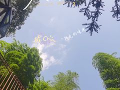 -东明山森林公园
