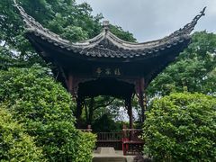 -武汉园博园(武汉自然博物馆)
