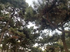 -鬼笑石后山停车场