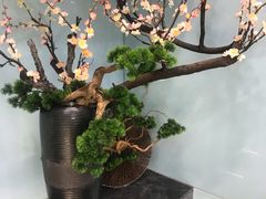 -顶福胜潮汕牛肉火锅(观沙岭店)