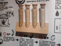 -肉肉大米(金虹桥店)