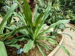 -石家庄市植物园
