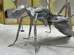 -老船长肉蟹煲(华强北茂业店)