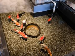 -0776食堂·京城创意菜(七里庄店)