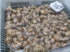 -都斛海鲜街