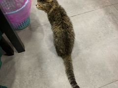 -蜀膳坊(洪公祠小区店)