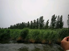 -白洋淀景区
