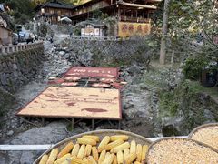 -林坑古村落