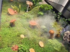 -外滩·云南人家(昆明旗舰店)