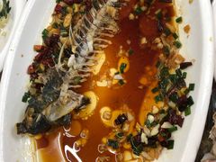 海鲫鱼-阿杰臻选海鲜饭店(普陀山店)