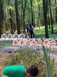-麦粒鸟亲子游