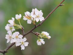 -国际非物质文化遗产博览园