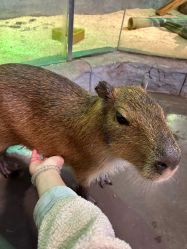 -Zoolung Zoolung动物主题公园(海信广场店)