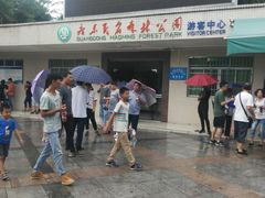 -广东茂名森林公园