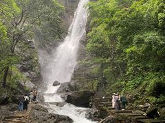 -姑婆山旅游区