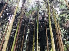 -娄山关景区