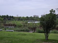 -商丘市人民公园