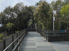 -福道