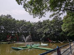 -广州长隆飞鸟乐园