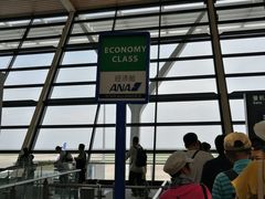 -全日本空输株式会社(上海办事处)