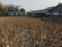 -莫催咖啡