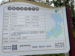 -五缘湾湿地公园