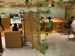 -柴务处·柴犬主题狗咖