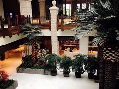 -太湖饭店·寄畅轩中餐厅