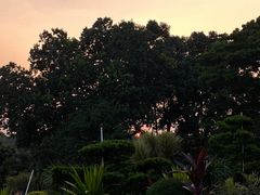-紫马岭公园