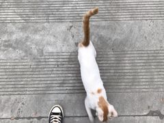 -四川大学(华西校区)