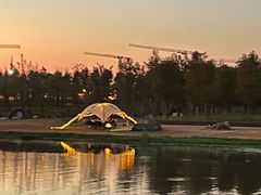 -春花秋色城市公园