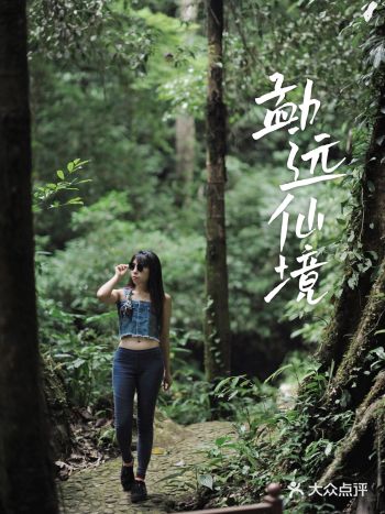 雨林徒步穿越，这是西双版纳正确的打开方式