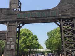 -溱湖国家湿地公园