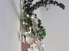 -豆老板的猫咖啡(碑林博物馆店)