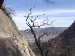 -北京鹫峰国家森林公园