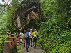 -西岭雪山大飞水景区
