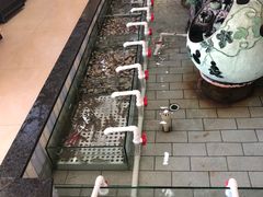 -春华海鲜城(广场西苑店)