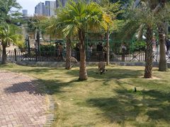 -灵玲国际马戏城
