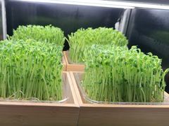 -捞王锅物料理(金华义乌之心店)